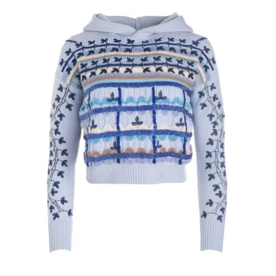 DANNIJO Sweaters | Hoodies*Embellished Sweater